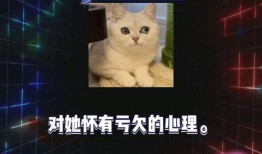 吃瓜娱乐圈八卦爆料,明星恋情、绯闻大揭秘！
