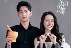 嘉行艺人新剧爆料视频,幕后故事与精彩片段抢先看