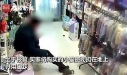 济南探店爆料事件视频,网红美食背后的真相大揭秘