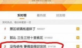 卓伟爆料陈晓视频事件,卓伟爆料引发娱乐圈热议
