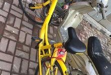 长春最新单车爆料,揭秘城市绿色出行新选择