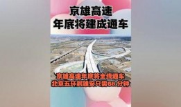 中视频伙伴热点爆料,最新爆料带你领略行业风向标