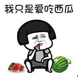 娱乐圈吃瓜内容是什么